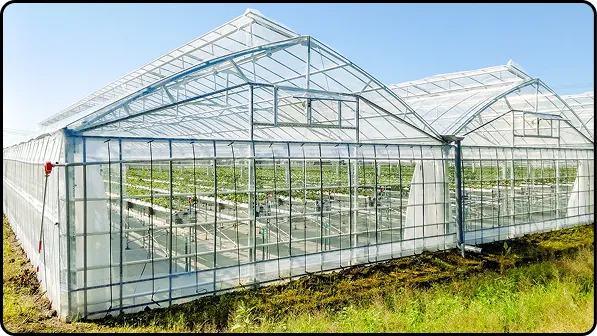 有限会社マルカ商会 -課題解決型のハウスづくり 企画・施工・販売 ワンストップで提案-