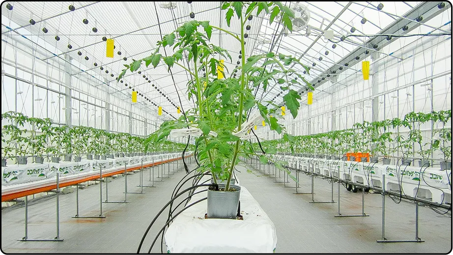 有限会社マルカ商会 -課題解決型のハウスづくり 企画・施工・販売 ワンストップで提案-