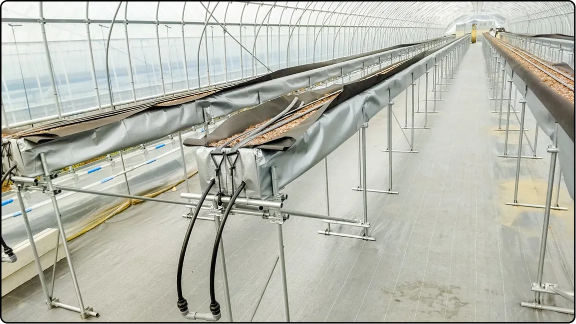 栃木の鉄骨屋根ハウス施工｜大空間・高採光が必要な栽培に｜初めての方も安心｜有限会社マルカ商会