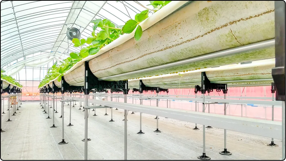 栃木の鉄骨屋根ハウス施工｜大空間・高採光が必要な栽培に｜初めての方も安心｜有限会社マルカ商会