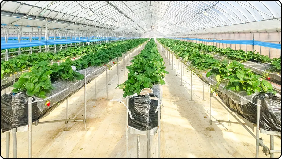 有限会社マルカ商会 -課題解決型のハウスづくり 企画・施工・販売 ワンストップで提案-