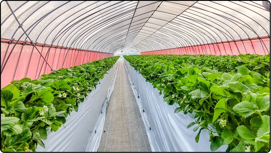 有限会社マルカ商会 -課題解決型のハウスづくり 企画・施工・販売 ワンストップで提案-