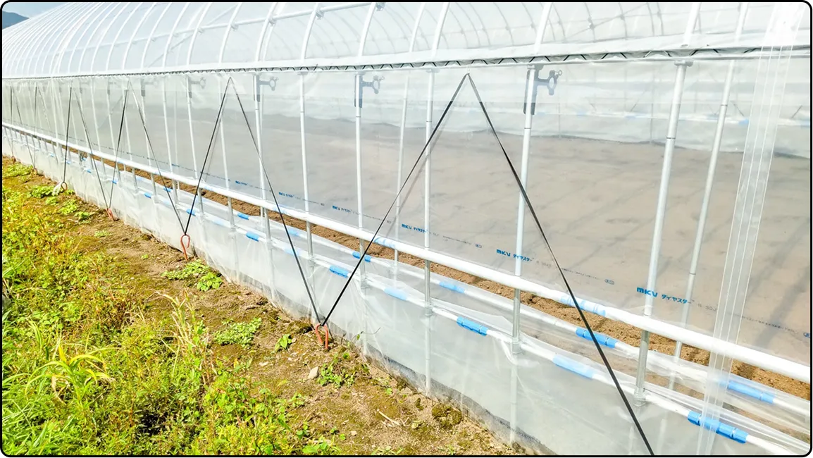 栃木の鉄骨屋根ハウス施工｜大空間・高採光が必要な栽培に｜初めての方も安心｜有限会社マルカ商会