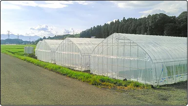 栃木の鉄骨屋根ハウス施工｜大空間・高採光が必要な栽培に｜初めての方も安心｜有限会社マルカ商会