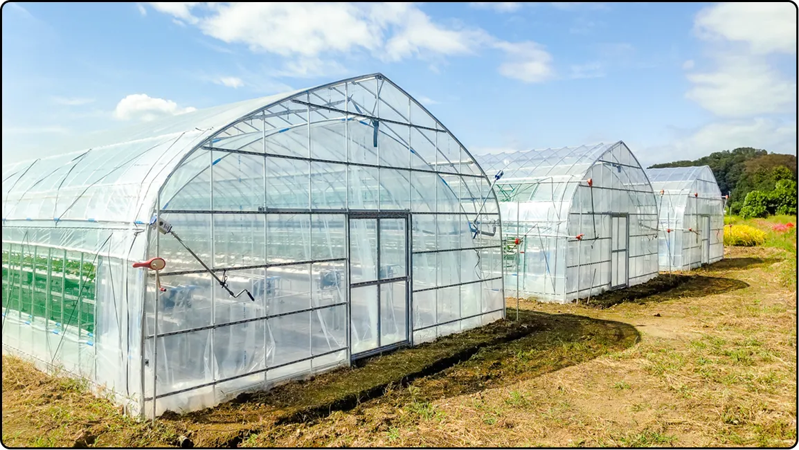 栃木の鉄骨屋根ハウス施工｜大空間・高採光が必要な栽培に｜初めての方も安心｜有限会社マルカ商会