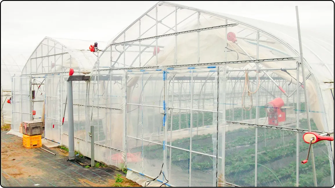 栃木の鉄骨屋根ハウス施工｜大空間・高採光が必要な栽培に｜初めての方も安心｜有限会社マルカ商会