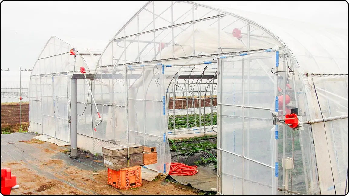 栃木の鉄骨屋根ハウス施工｜大空間・高採光が必要な栽培に｜初めての方も安心｜有限会社マルカ商会