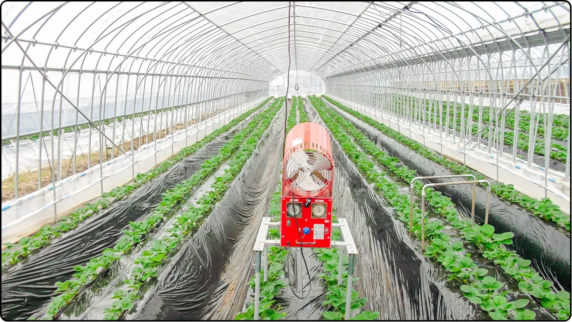 栃木の鉄骨屋根ハウス施工｜大空間・高採光が必要な栽培に｜初めての方も安心｜有限会社マルカ商会