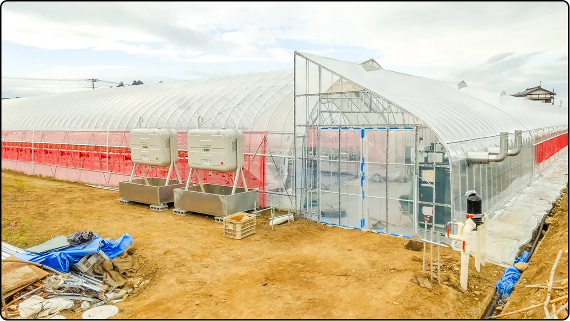 栃木の鉄骨屋根ハウス施工｜大空間・高採光が必要な栽培に｜初めての方も安心｜有限会社マルカ商会