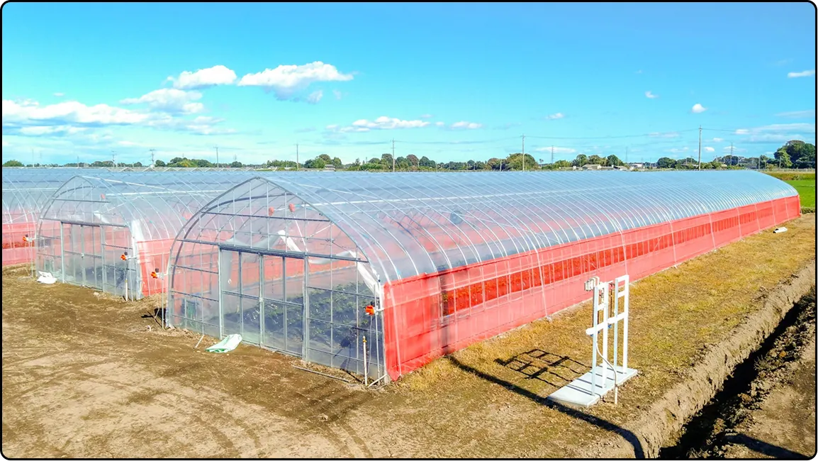 栃木の鉄骨屋根ハウス施工｜大空間・高採光が必要な栽培に｜初めての方も安心｜有限会社マルカ商会