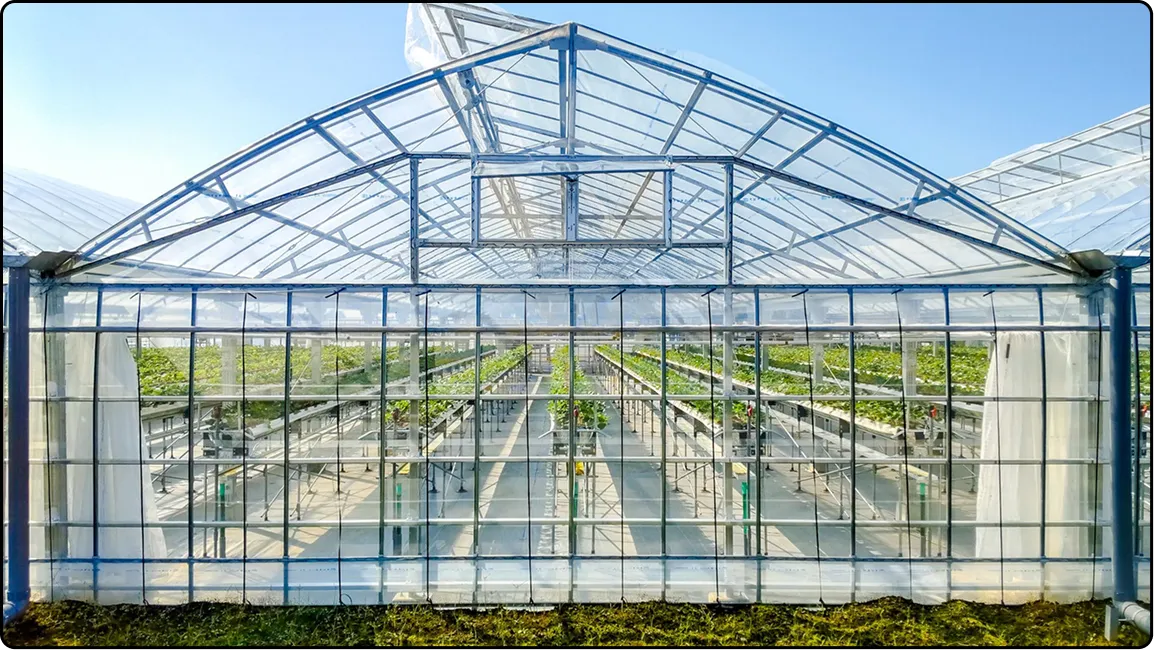 栃木の鉄骨屋根ハウス施工｜大空間・高採光が必要な栽培に｜初めての方も安心｜有限会社マルカ商会