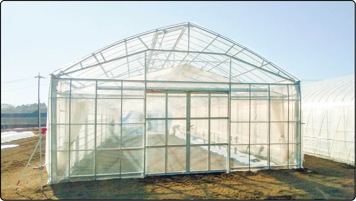 栃木の鉄骨屋根ハウス施工｜大空間・高採光が必要な栽培に｜初めての方も安心｜有限会社マルカ商会