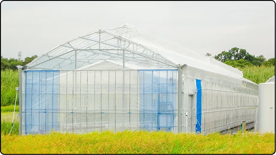 有限会社マルカ商会 -課題解決型のハウスづくり 企画・施工・販売 ワンストップで提案-