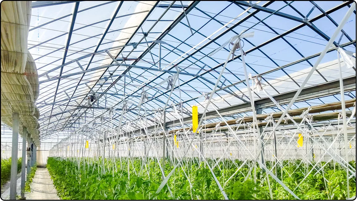 栃木の鉄骨屋根ハウス施工｜大空間・高採光が必要な栽培に｜初めての方も安心｜有限会社マルカ商会