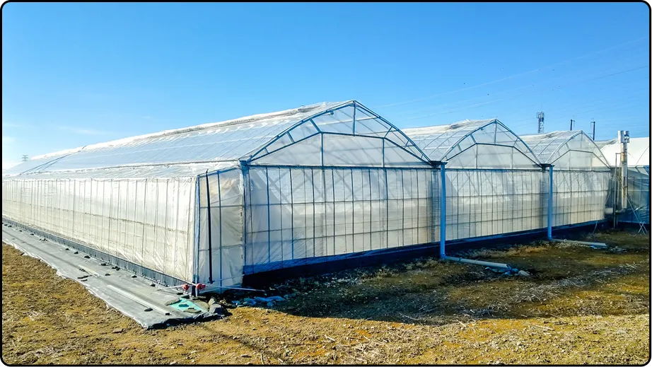 有限会社マルカ商会 -課題解決型のハウスづくり 企画・施工・販売 ワンストップで提案-