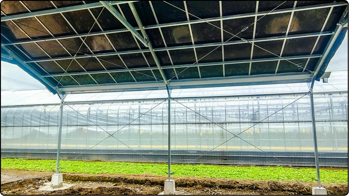 栃木の鉄骨屋根ハウス施工｜大空間・高採光が必要な栽培に｜初めての方も安心｜有限会社マルカ商会