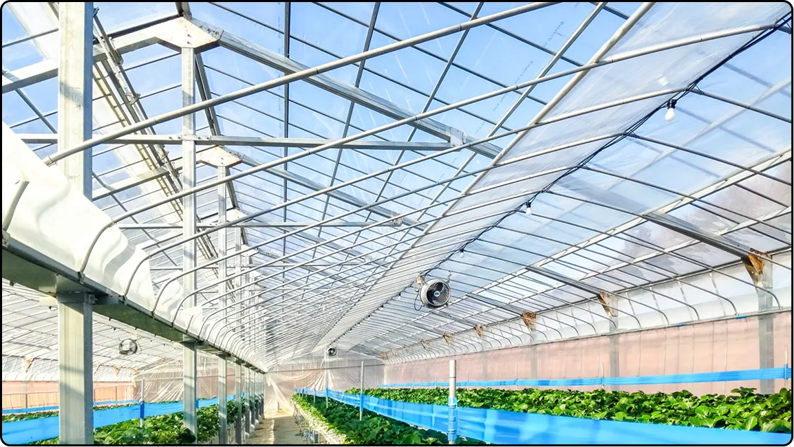 栃木の鉄骨屋根ハウス施工｜大空間・高採光が必要な栽培に｜初めての方も安心｜有限会社マルカ商会