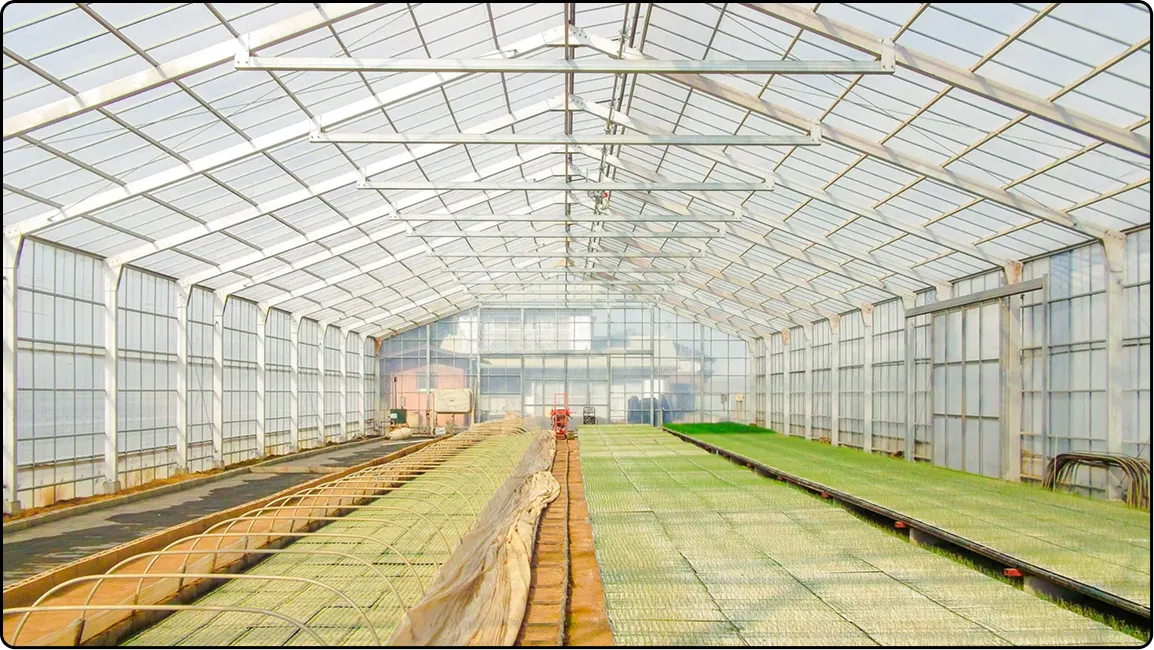 栃木の鉄骨屋根ハウス施工｜大空間・高採光が必要な栽培に｜初めての方も安心｜有限会社マルカ商会